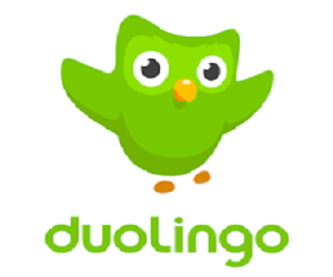 An Owl with the words duolingo