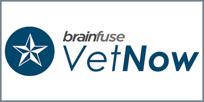 brainfuse help now